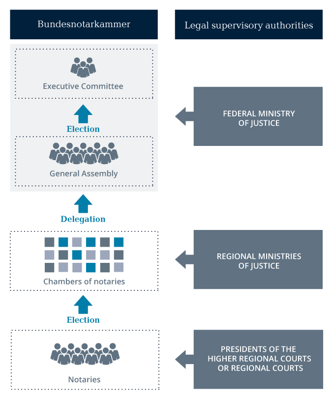 Graphic showing Decision-making bodies of the Bundesnotarkammer